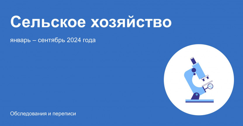 О состоянии животноводства в январе – сентябре 2024 года